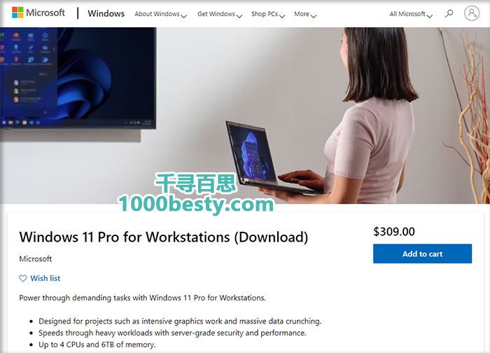 Windows11专业工作站版原价